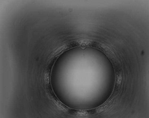 X0000097970666200804011722