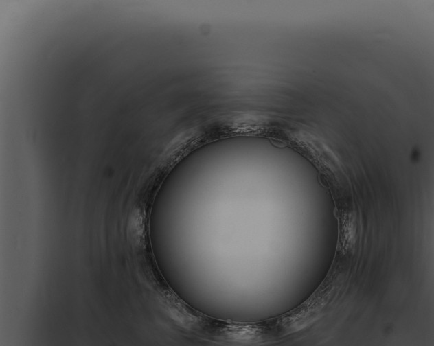 X0000097970667200804011722