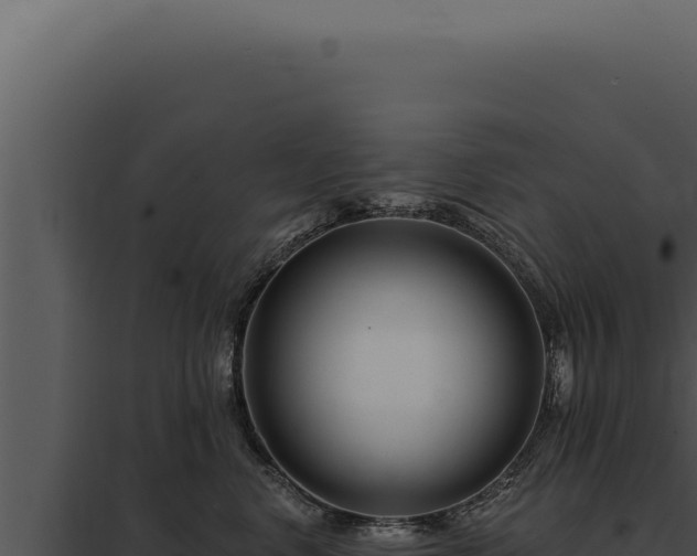 X0000097970668200804011722