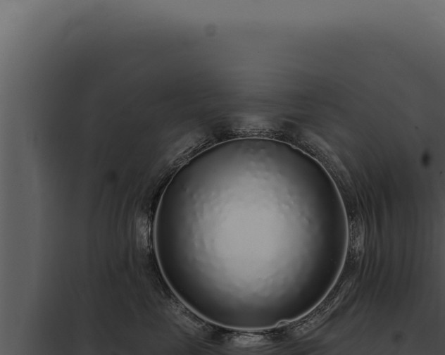 X0000097970669200804011722