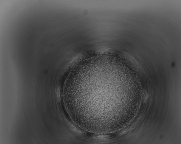 X0000097970670200804011722