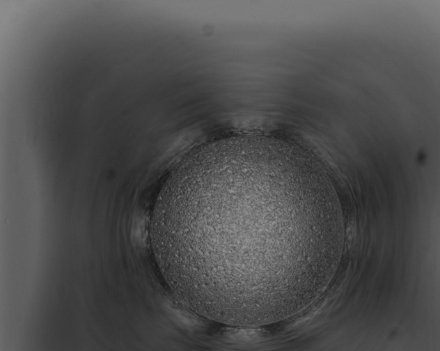 X0000097970671200804011722