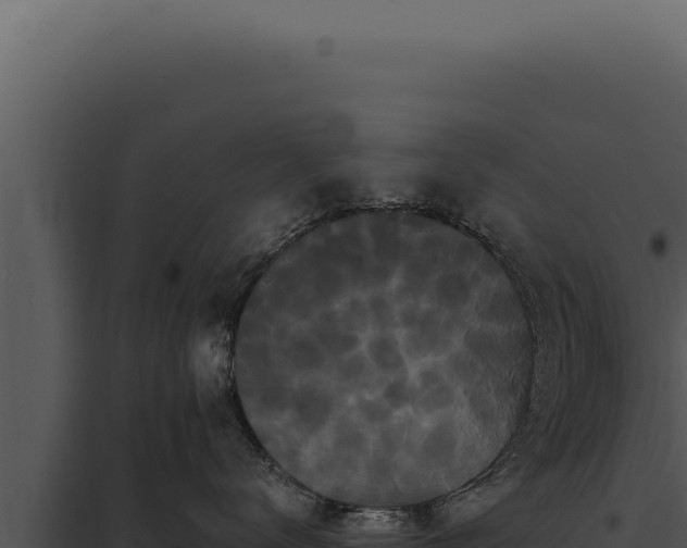 X0000097970672200804011722