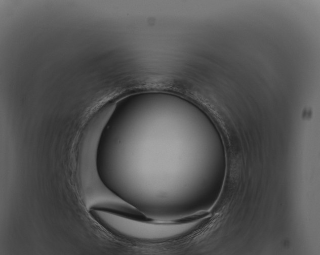 X0000097970673200804011721