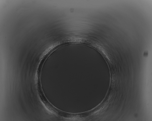 X0000097970674200804011721