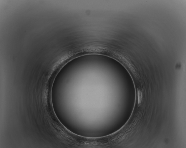 X0000097970675200804011721