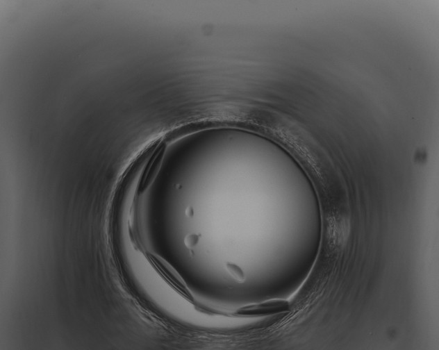 X0000097970676200804011721