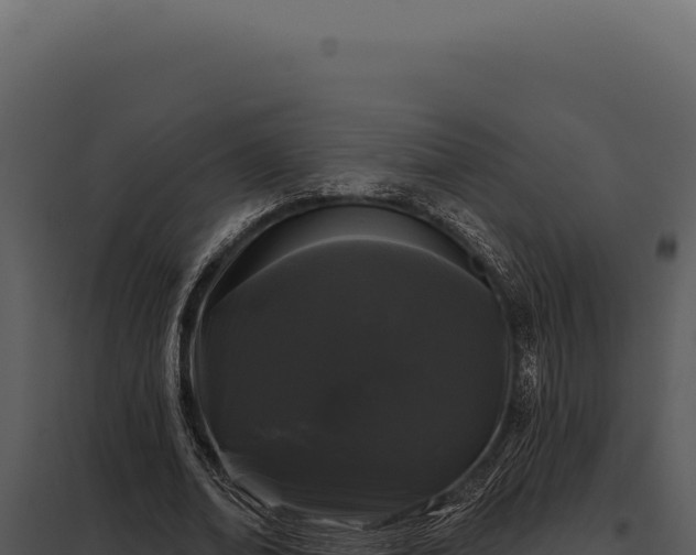 X0000097970678200804011721