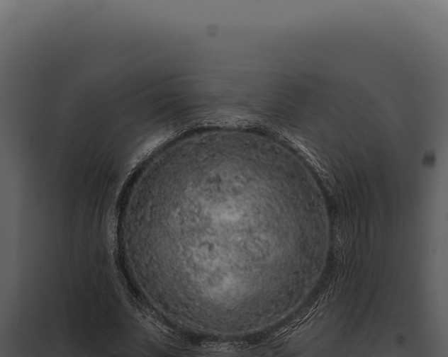 X0000097970679200804011721