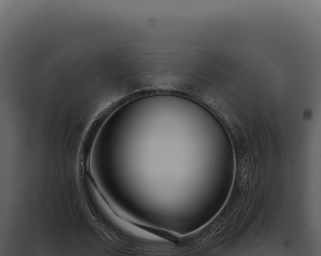 X0000097970680200804011721