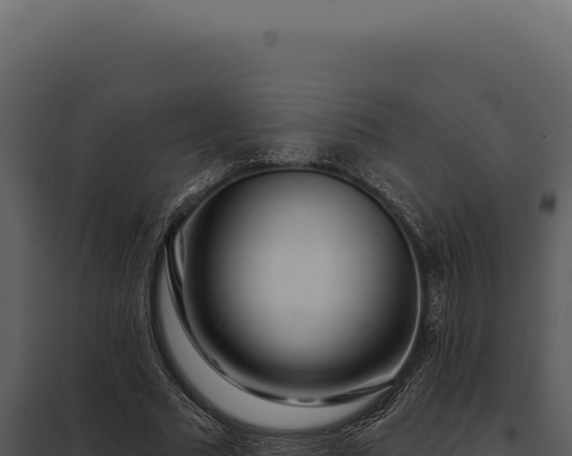 X0000097970681200804011721