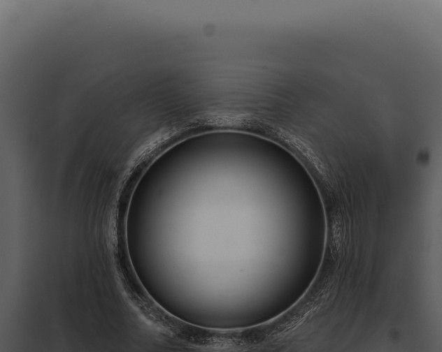 X0000097970682200804011721