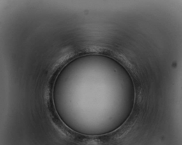 X0000097970683200804011721