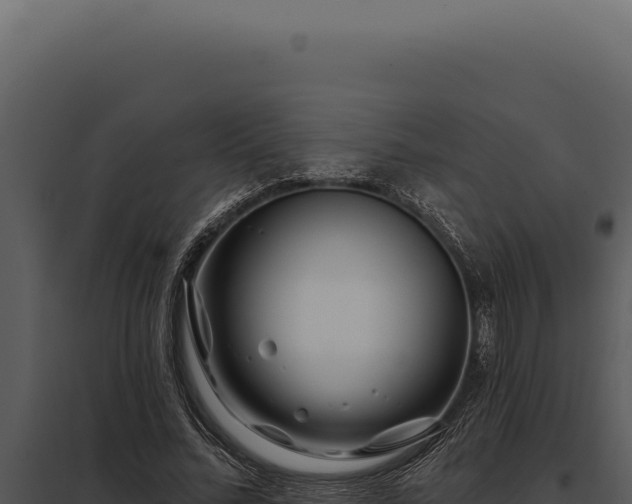 X0000097970684200804011721