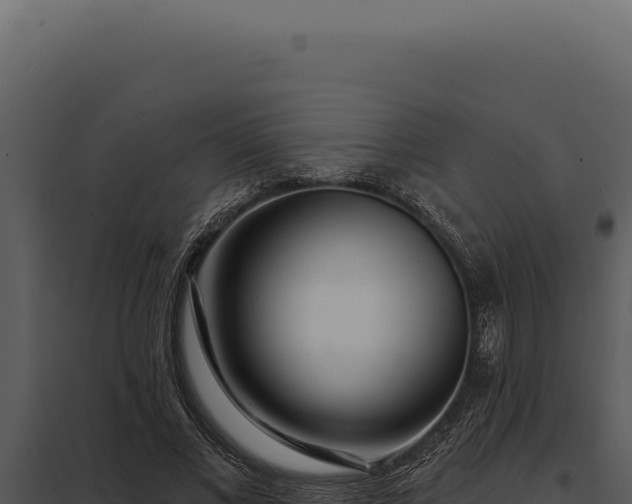 X0000097970685200804011721