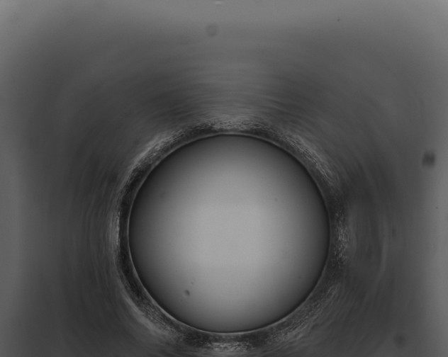 X0000097970686200804011721