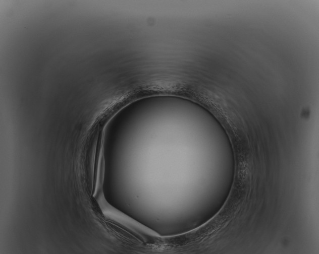 X0000097970688200804011721