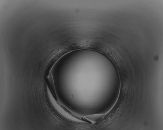 X0000097970689200804011721