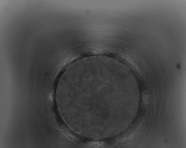 X0000097970691200804011721