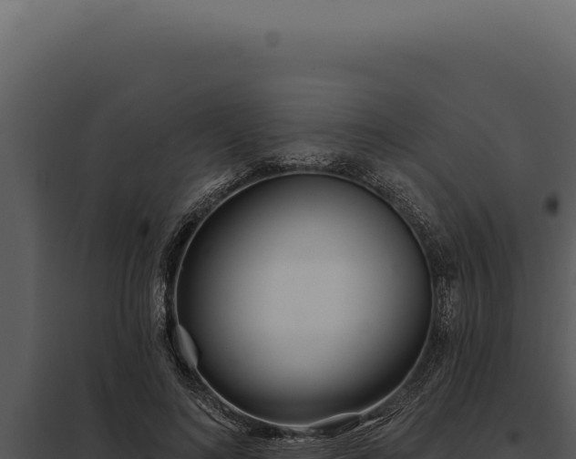 X0000097970692200804011721