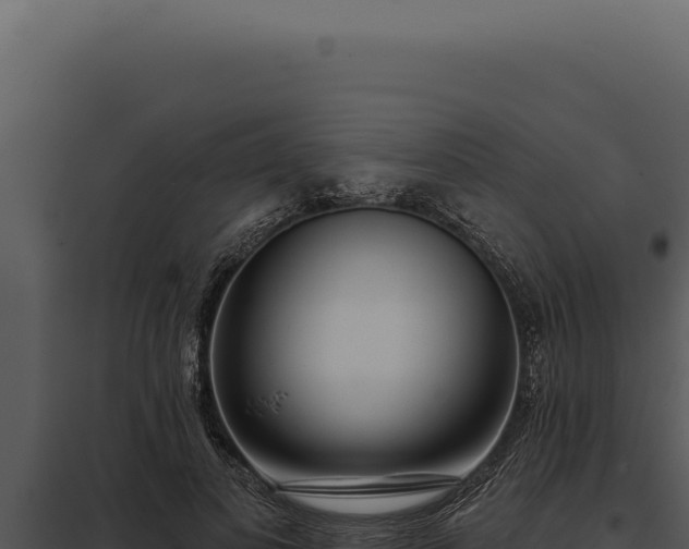 X0000097970693200804011721