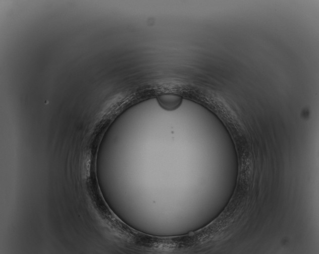 X0000097970694200804011721