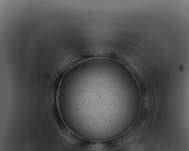 X0000097970695200804011721