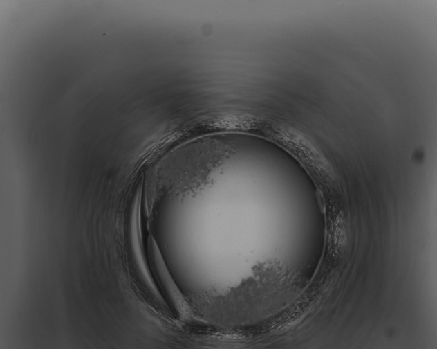 X0000097970696200804011721