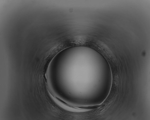 X0000097970697200804011721