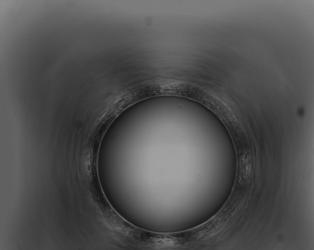 X0000097970698200804011721