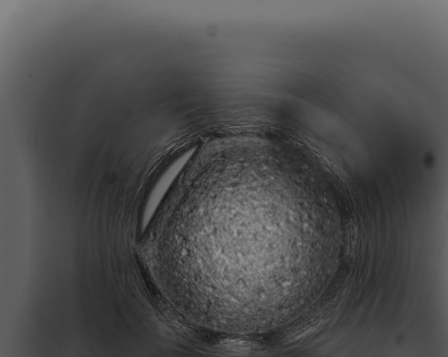 X0000097970699200804011721