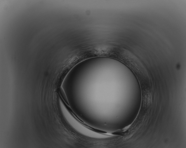 X0000097970700200804011721