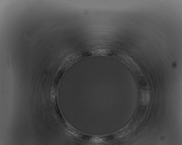 X0000097970701200804011721