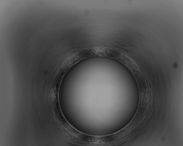 X0000097970702200804011721