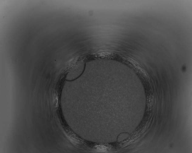 X0000097970703200804011721