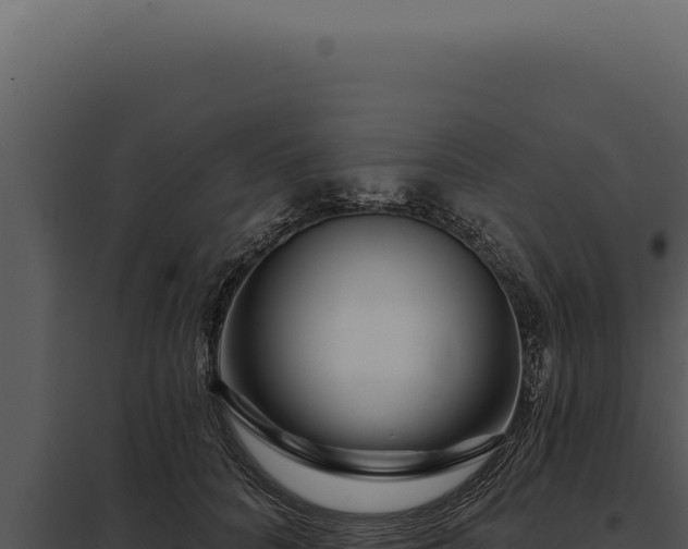 X0000097970704200804011721