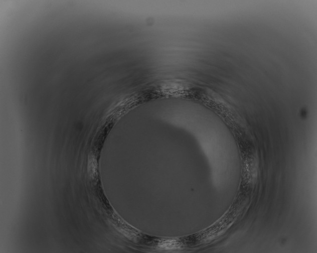 X0000097970705200804011720