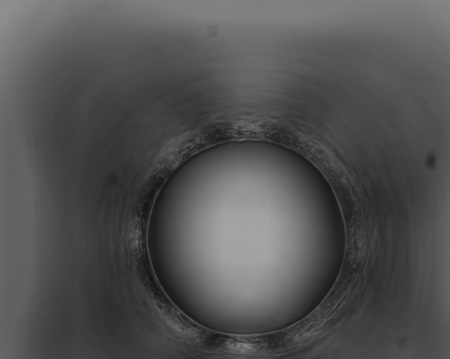 X0000097970706200804011720