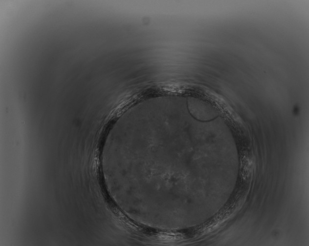 X0000097970707200804011720