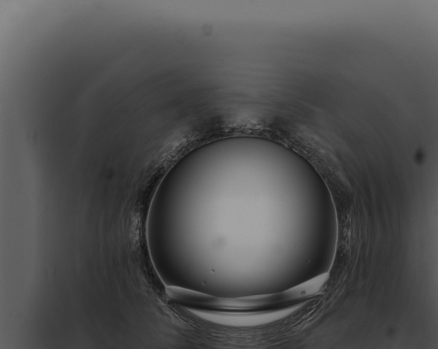 X0000097970708200804011720