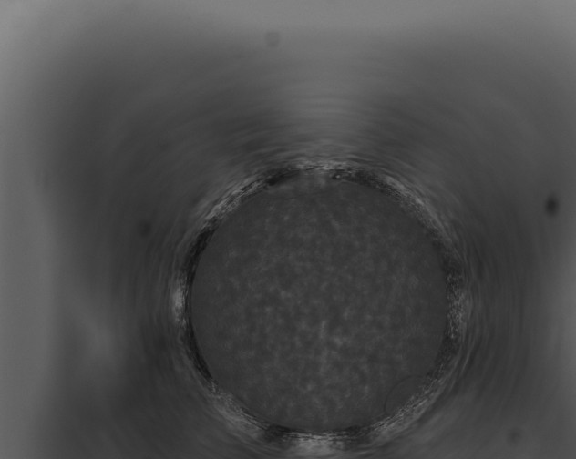 X0000097970709200804011720