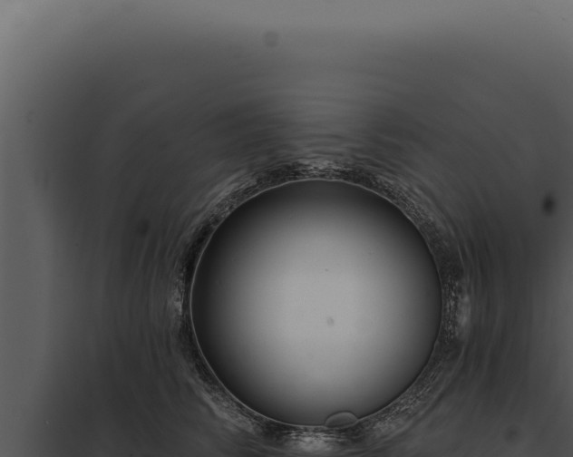 X0000097970710200804011720