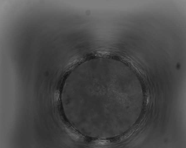 X0000097970711200804011720