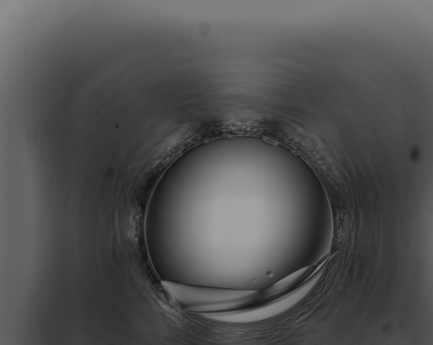 X0000097970712200804011720