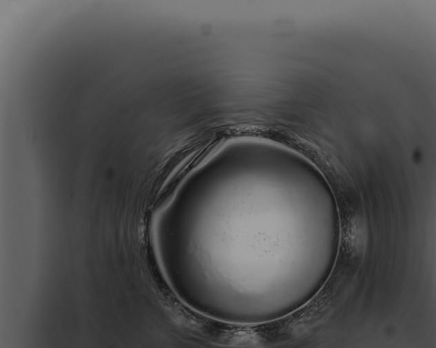 X0000097970715200804011720