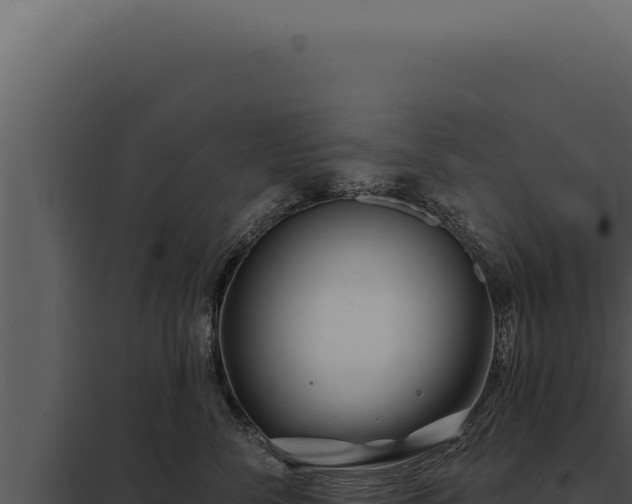 X0000097970716200804011720