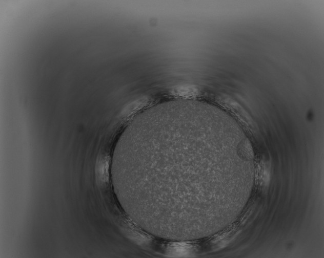 X0000097970717200804011720