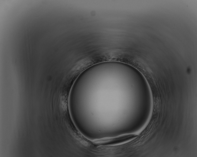 X0000097970719200804011720