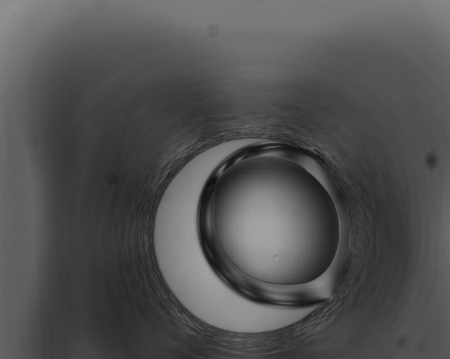 X0000097970720200804011720