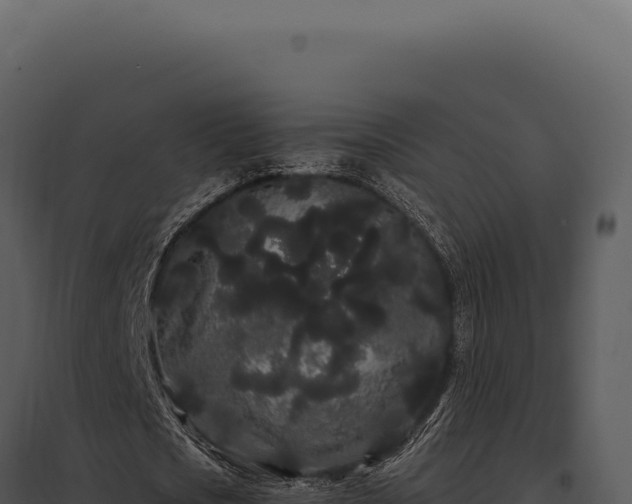 X0000097970721200804011720